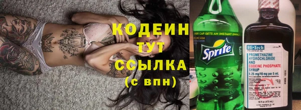 индика Нефтегорск