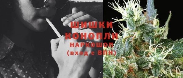 индика Нефтегорск