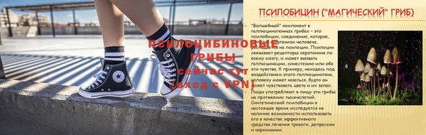 индика Нефтегорск