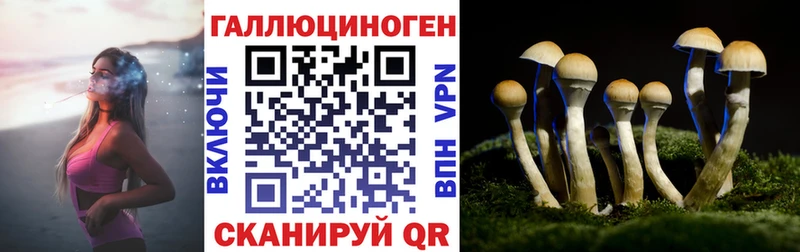 Псилоцибиновые грибы Cubensis  Купить  Усолье 